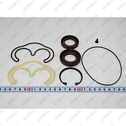 Бирч/Seal Kit D516828 Doosan